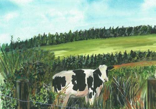 Cow 2
26.5x23.7cm
10.5"x9.5"
Print £25
Original Painting £125